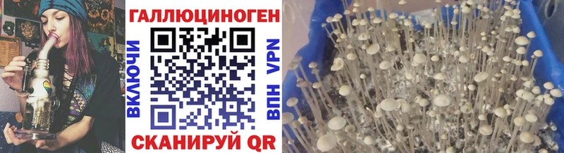 Купить где  Фурманов  Псилоцибиновые грибы прущие грибы 